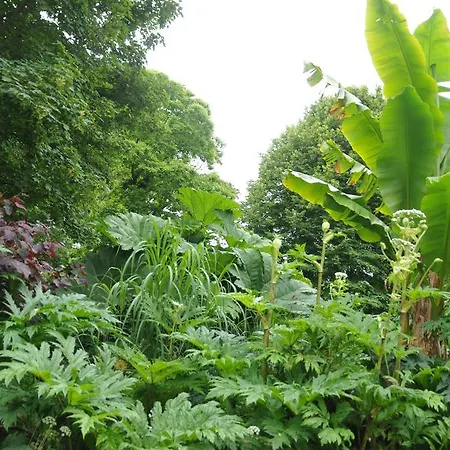 Semesterbostad Le Domaine Des Platanes