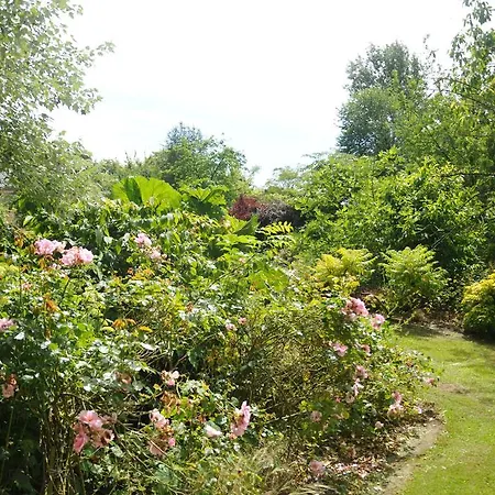 Le Domaine Des Platanes Semesterbostad Bordeaux-Saint-Clair