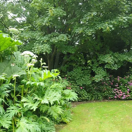 Le Domaine Des Platanes *