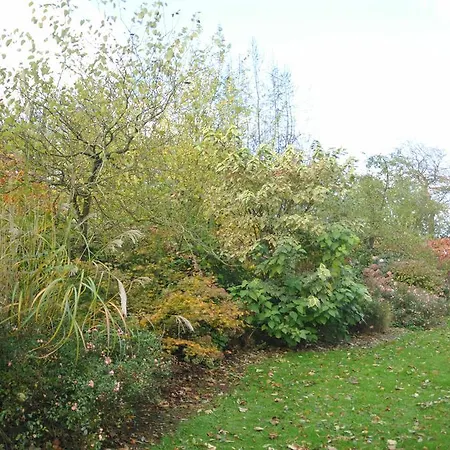 Le Domaine Des Platanes Bordeaux-Saint-Clair
